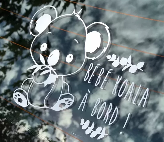 Koala à bord