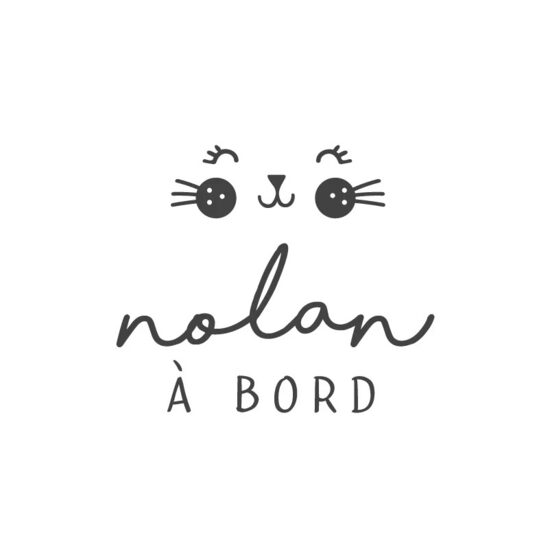 Petit chat à bord